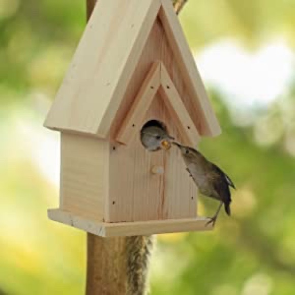 🇺🇸 Handpainted Americana Birdhouse - Functional - Picture 3 of 11